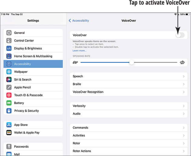 Screenshot showing the iPad Accessibility options, including VoiceOver
