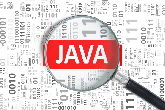 Java offers important features