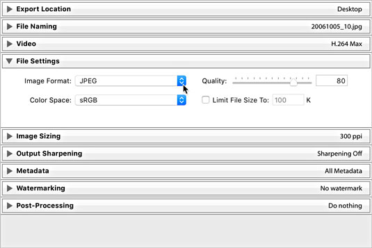 Lightroom Classic File Settings panel