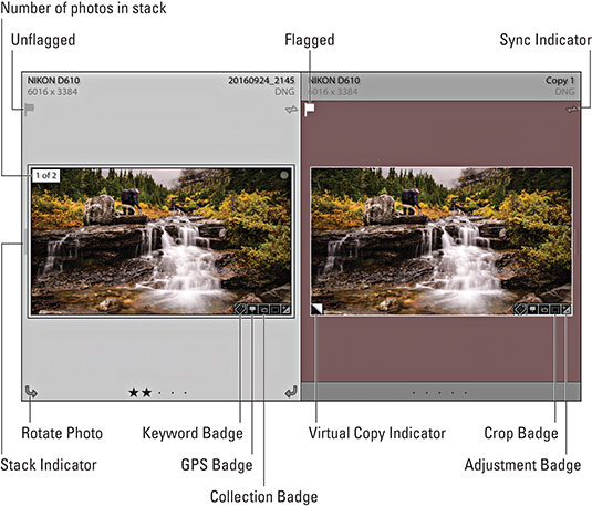 Adobe Lightroom grid view