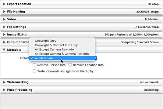 Expanded Metadata panel in Lightroom Classic