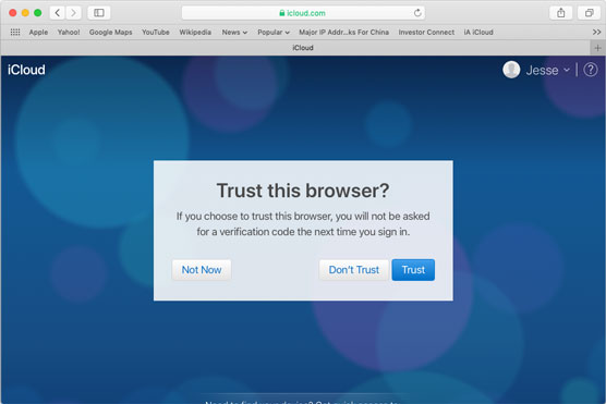 Verify that you trust the browser.