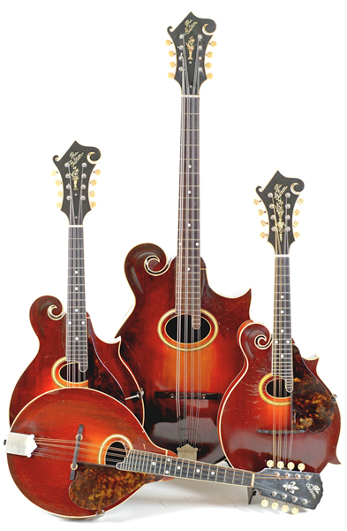 The mandolin family