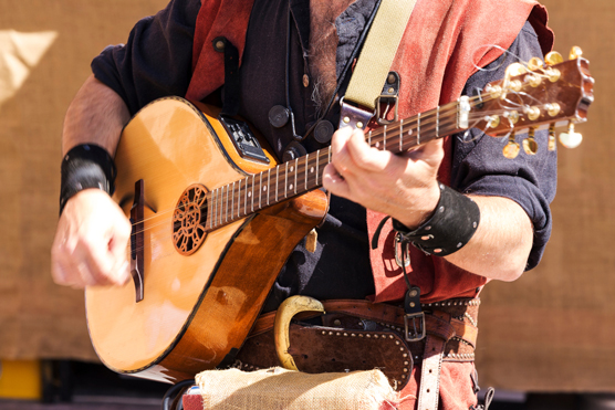 mandolin player