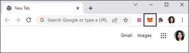 Screenshot showing the MetaMask fox icon in the browser toolbar