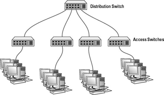 Distribution and access network switches
