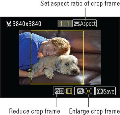 nikon-cropping