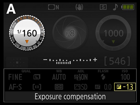 adjust Exposure Compensation on Nikon D3500