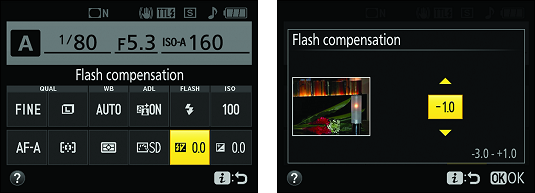 adjust flash with Nikon D3500 control strip