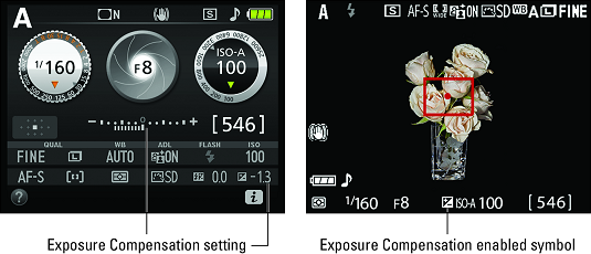 enable Exposure Compensation Nikon D3500