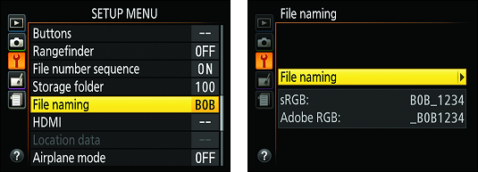 File Naming screen Nikon D3500