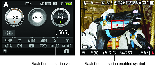 Flash Compensation symbols Nikon D3500