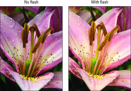 Nikon D3500 flash warming effect