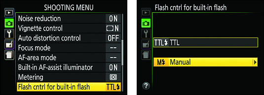 manual flash output Nkon D3500