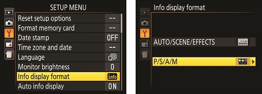 modify Information display Nikon D3500