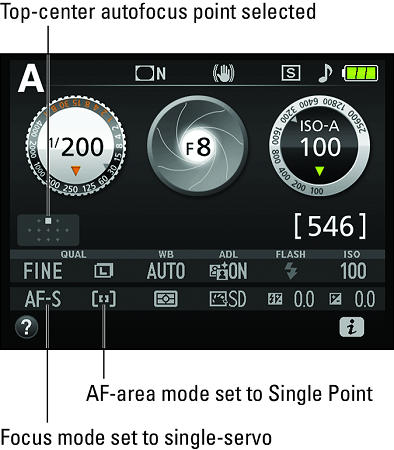 autofocus settings for stationary subjects Nikon D3500