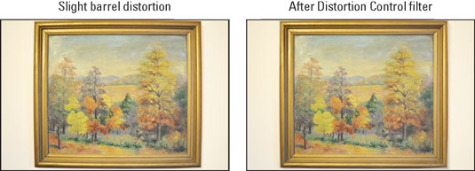 You may be able to fix barrel distortion by applying the Distortion Control tool from the Retouch menu.