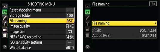 nikon-file-naming