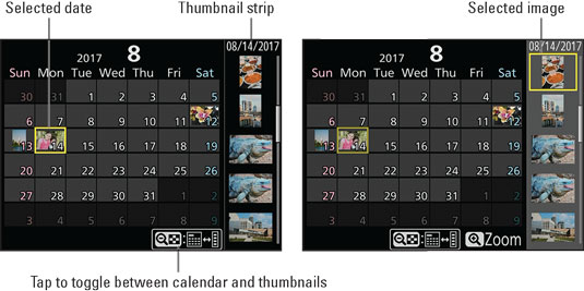 nikond-calendar