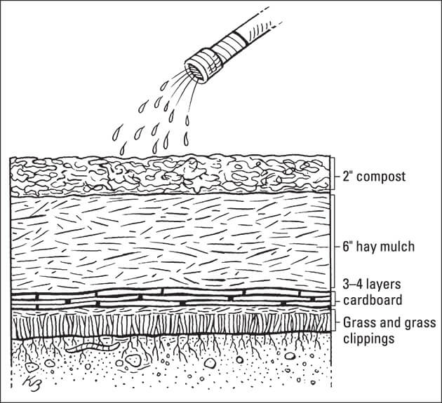 Illustration showing the parts of a no-till layered garden