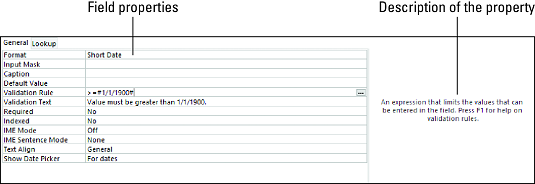 Ms Access Field Properties For Making Sure That Data Entries Are Accurate Dummies