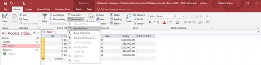 advanced filtering Access database