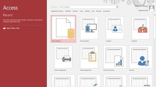 microsoft access data types definition