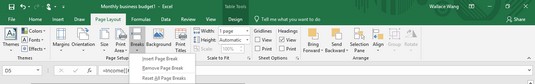 Excel 2019 Breaks menu