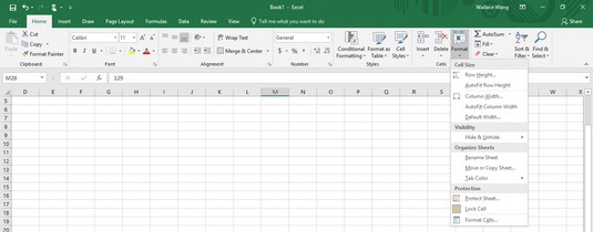 Format icon Excel 2019