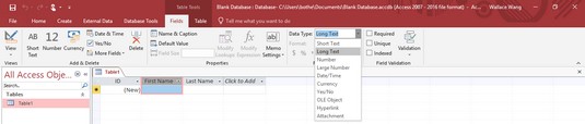 modify Access database