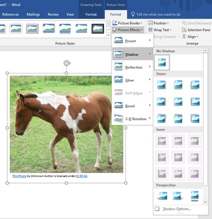 Picture Effects icon Office 2019