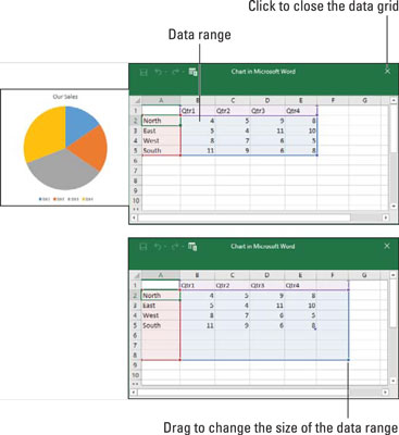 enter data in the data grid