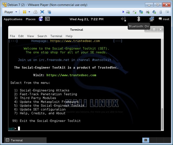 VMware virtualization pen testing