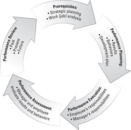 performance management process