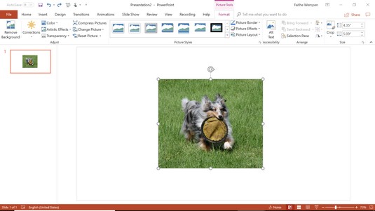 Picture Tools Format tab PowerPoint 2019