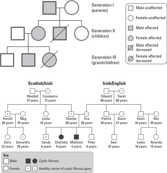 Diagram of genetic history.