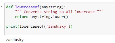 custom function lower() in Python