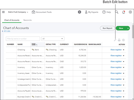 Chart of Accounts page