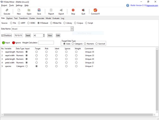 Rattle Data tab