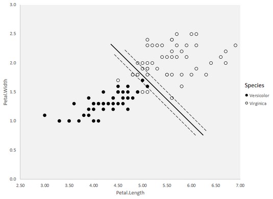 soft margin classification R