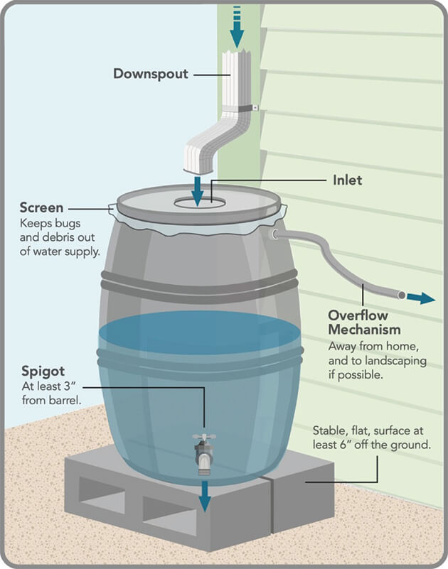 Diagram showing the parts of a rain barrel