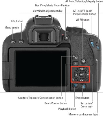 canon q button