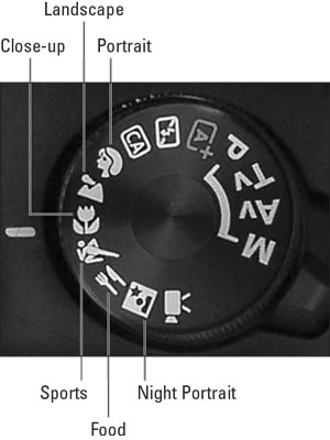 canon t7 focus points