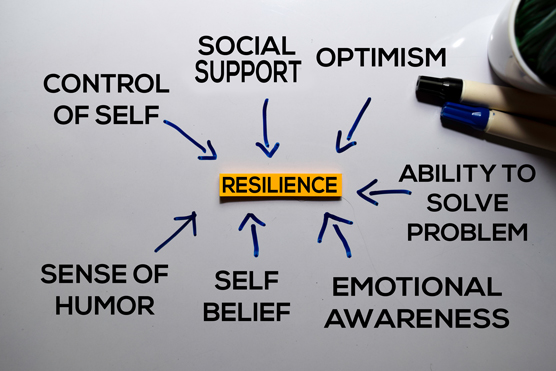 factors of resilience