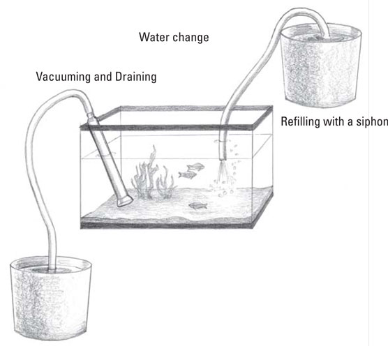 aquarium water changing