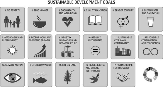 UN Sustainable Development Goals