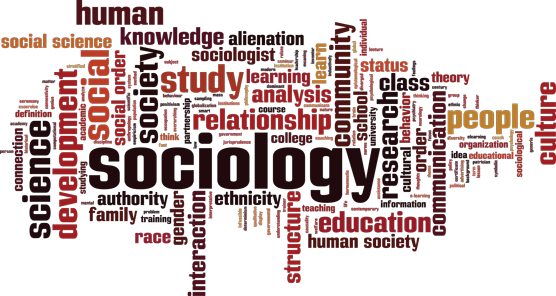 what is the purpose of sociological theory