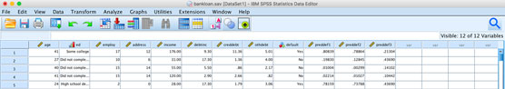 dataset in SPSS Statistics