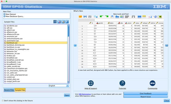 The SPSS Welcome screen