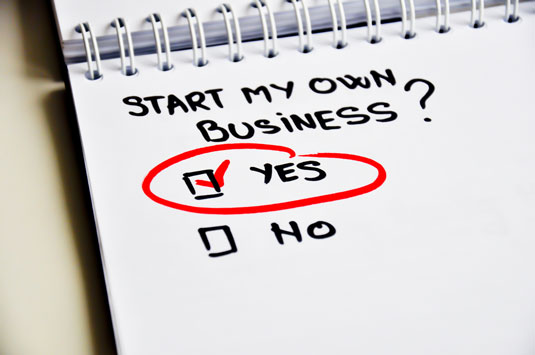 Starting a Business All-In-One For Dummies Cheat Sheet Article ...